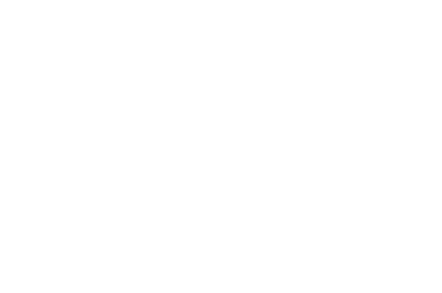 FICCBOG